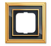 Busch-Jaeger Busch-Dynasty 4011395218891 Cadre de finition 1 compartiment 1721-835 ms/pol Anthracite