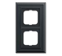 Busch-Jaeger Busch-Dynasty 4011395219317 Cadre à 2 compartiments Anthracite