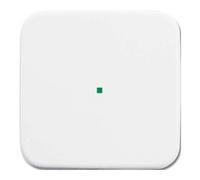 Busch-Jaeger Busch-Jaeger Basculante simple alpin blanc 6230-10-214 Quantité:1