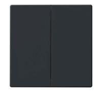 Busch-Jaeger 6736 FoH-81 Wippe, Dynastie Busch, Amis de la peau Zigbee, Anthrazite (2CKA006730A0133)