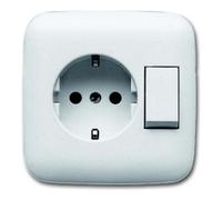 Busch-Jaeger Busch-Jaeger Combinaison prise + interrupteur blanc 4310/6 EUJ-214 Quantité:1