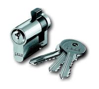Busch-Jaeger Busch-Jaeger Demi-cylindre profilé identique 0521 PZ-GS Quantité:1