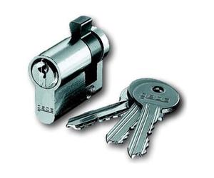 Busch-Jaeger Busch-Jaeger Demi-cylindre profilé identique 0521 PZ-GS Quantité:1