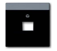 Busch-Jaeger Busch-Jaeger Disque central noir avec montage pour boîte de connexion UAE 1f 1803-885 Quantité:1
