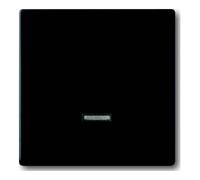 Busch-Jaeger Busch-Jaeger Élément de commande Memory 6543-885-101 Quantité:1