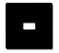 Busch-Jaeger Busch-Jaeger Interrupteur anthracite ouvert pour symbole 2120-35 Quantité:1