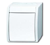Busch-Jaeger Busch-Jaeger Interrupteur unipolaire 2601/2 W-54 Quantité:1