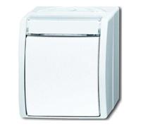 Busch-Jaeger Busch-Jaeger Interrupteur va-et-vient 2601/6 WN-54 Quantité:1