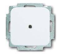 Plaque de recouvrement Busch-Jaeger, 2CKA001715A0275 2538-214, 2000 - voie avec anneau de support blanc alpin - Reflex
