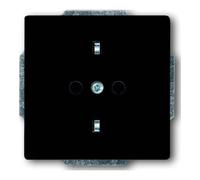 Busch-Jaeger 20 douille EUC-81 anthracite brillant, prises électriques standard