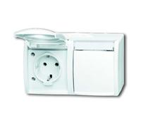Busch-Jaeger 20/2 EWN-54 SCHUKO® Prise Double (thermoplastique) Blanc Alpin océan® (IP 44) 2CKA002084A0715