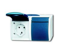 Busch-Jaeger Busch-Jaeger Prise Schuko 2x gr/bgn horizontale 20/2 EW-53 Quantité:1