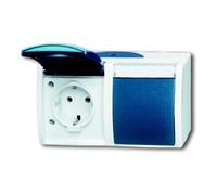 Busch-Jaeger Busch-Jaeger Prise Schuko 2x horizontale 20/2 EWN-53 Quantité:1