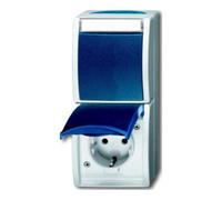 Busch-Jaeger Busch-Jaeger Prise SCHUKO combinée avec interrupteur bascule 2601/6/20 EBW-53 Quantité:1