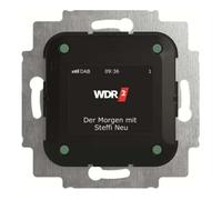 Busch-Jaeger Radio-réveil 8215 U-101 DAB+/RDS Noir 2CKA008200A0275