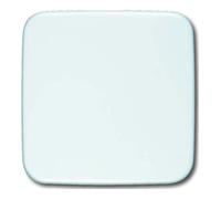 Busch-Jaeger Busch-Jaeger Rosace aveugle aws 54x54mm 1576 C-214 Quantité:1