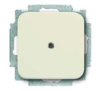Busch Jaeger disque central aveugle 2538-212 alpinweiss Busch Duro 2000 SI