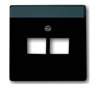 Busch-Jaeger Busch-Jaeger Rosace centrale anthracite pour boîte de connexion UAE 2f 1803-02-81 Quantité:1