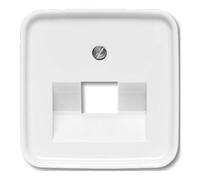 Busch-Jaeger Busch-Jaeger Rosace centrale aws pour boîte de connexion UAE 1f 1803-214 Quantité:1