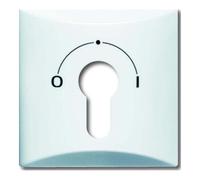 Busch-Jaeger Busch-Jaeger Rosace centrale blanc alpin pour interrupteur à clé 2155 SLPZ-34 Quantité:1