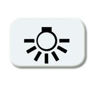 Busch-Jaeger Busch-Jaeger Symbole de bouton-poussoir aws Licht 2525 LI-214 Quantité:1