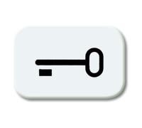 Busch-Jaeger Busch-Jaeger Symbole de bouton-poussoir aws Schlüssel 2525 TR-214 Quantité:1