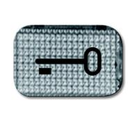 Busch-Jaeger Busch-Jaeger Symbole de bouton-poussoir clé 2145 TR Quantité:1