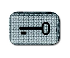Busch-Jaeger Busch-Jaeger Symbole de bouton-poussoir clé 2145 TR Quantité:1