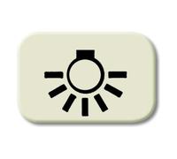 Busch-Jaeger Busch-Jaeger Symbole de bouton-poussoir lumière 2525 LI Quantité:1