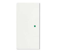Busch-Jaeger Busch-Jaeger Wippe studiows mt future linear 6230-20-884 Quantité:1