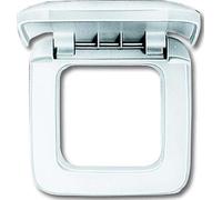 Busch-Jaeger Cadre simple 2518-214 2CKA001719A0061