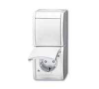 Busch-Jaeger Combinaison SCHUKO 2601/6/20 EBW-54 2CKA001684A0331