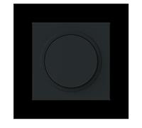Busch-Jaeger Disque central 6540-45M-102 2CKA006599A3055