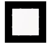 Busch-Jaeger Disque central aveugle 1742-44M 2CKA001710A4212