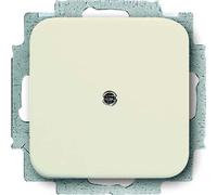 Busch-Jaeger Disque central aveugle avec anneau de support 2CKA001715A0218 2538-212