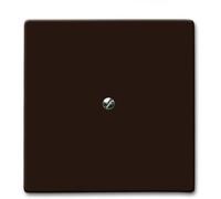 Busch-Jaeger Disque central aveugle br 2138-31 2CKA001710A3799