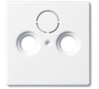 Busch-Jaeger Disque central comme cache pour les prises d'antenne usuelles 2CKA001724A2774 1743-84