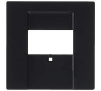 Busch-Jaeger Façade 1766 885