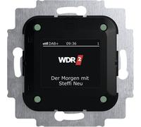 Busch-Jaeger Insert Radio multicolore 2CKA008200A0275 1 pc(s)