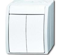 Busch-Jaeger Interrupteur de série 2601/5 W-54 2CKA001085A1621