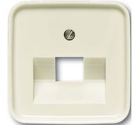 BUSCH-JAEGER Plaque centrale UAE/IAE 1f Duro 2000 SI ws glz
