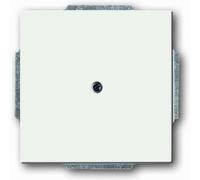 Busch-Jaeger Plaque de recouvrement cache aveugle 2CKA001710A3873 plastique, ...