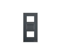 Busch-Jaeger Plaque frontale 41383CF-B-03 2TMA220160B1004