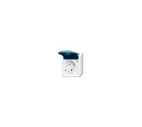 BUSCH-JAEGER Prise 1f grbl/gn mt ocean AP avec clapet BS