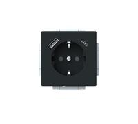 Busch-Jaeger Prise SCHUKO 20 EUCB2USBAC-885 2CKA002011A6312