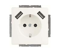 Busch-Jaeger SCHUKO-2x USB Prise 20 EUCB2USB-884 2CKA002011A6277
