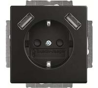 Busch-Jaeger SCHUKO-2x USB Prise 20 EUCB2USB-885 2CKA002011A6279