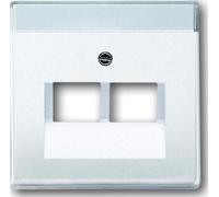 BUSCH-JAEGER Zentralplatte UAE/IAE 2f future linear std-ws glz