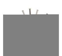 Buse de Fontaine en Laiton avec Interface G1 Pouces | Laiton durable et acier inoxydable, design inspiré du pissenlit, économe en énergie, amélioration du paysage.