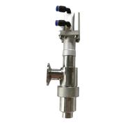 Buse De Remplissage De Bouteilles En Acier Inoxydable, Piston, Pâte De Lait, Yaourt, Graisse, Liquide, Avec Valve Manuelle, Pièces De Rechange For Machine De Remplissage(6mm)